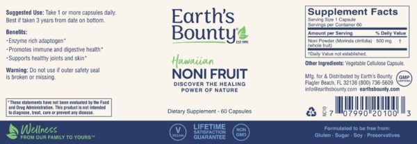 Noni Fruit - Image 5
